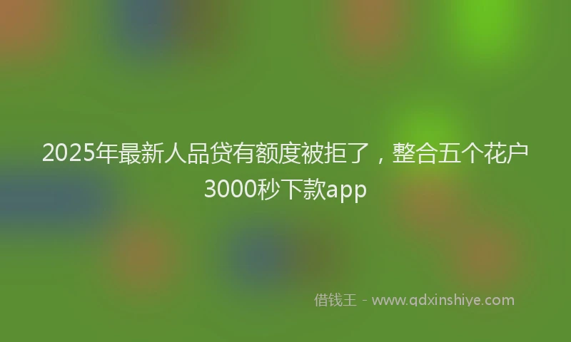 2025年最新人品贷有额度被拒了，整合五个花户3000秒下款app
