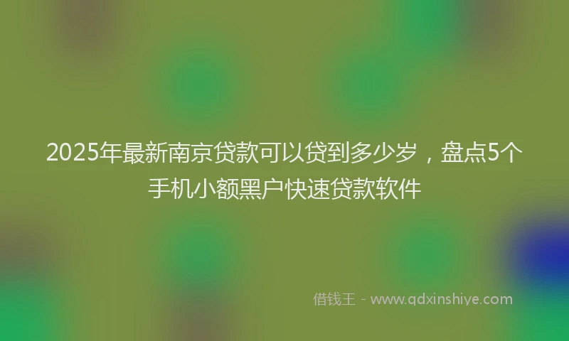 2025年最新南京贷款可以贷到多少岁，盘点5个手机小额黑户快速贷款软件