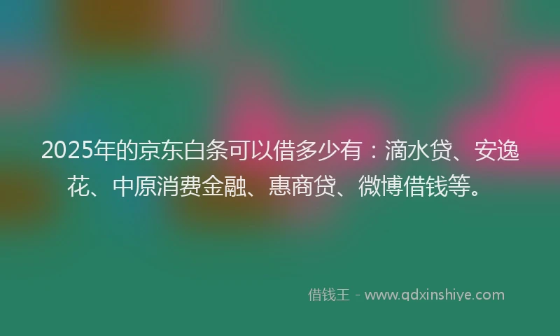 2025年的京东白条可以借多少有：滴水贷、安逸花、中原消费金融、惠商贷、微博借钱等。