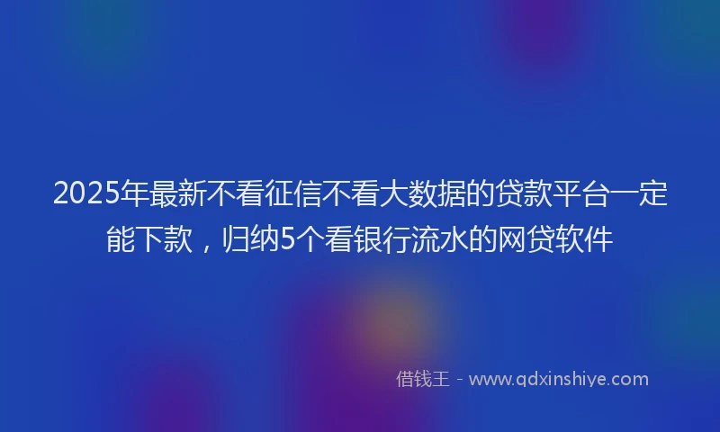 2025年最新不看征信不看大数据的贷款平台一定能下款，归纳5个看银行流水的网贷软件