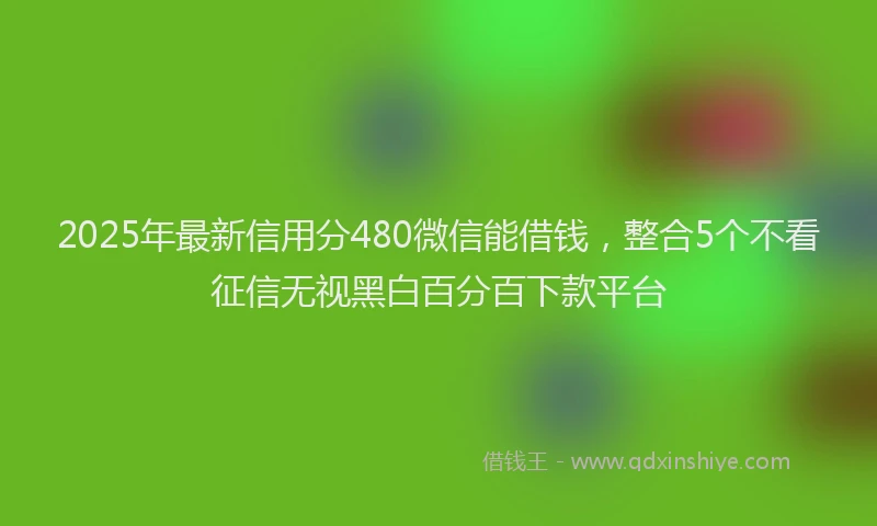 2025年最新信用分480微信能借钱，整合5个不看征信无视黑白百分百下款平台