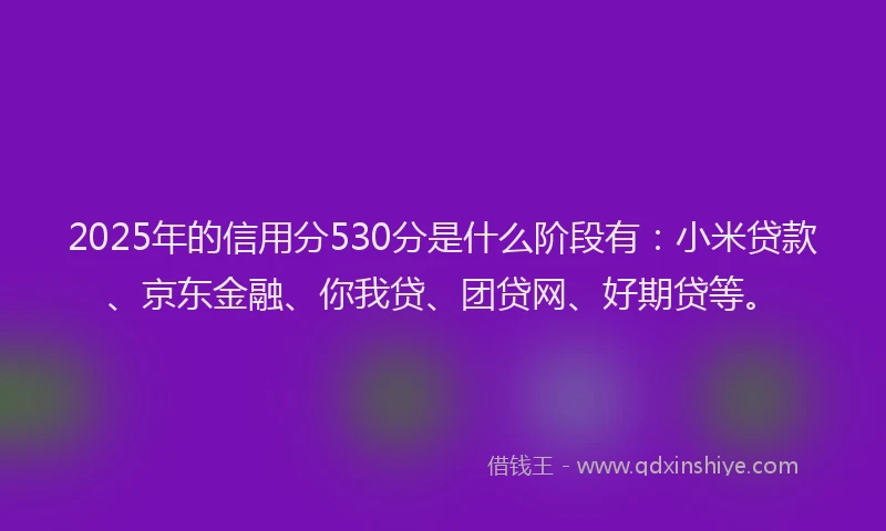2025年的信用分530分是什么阶段有：小米贷款、京东金融、你我贷、团贷网、好期贷等。