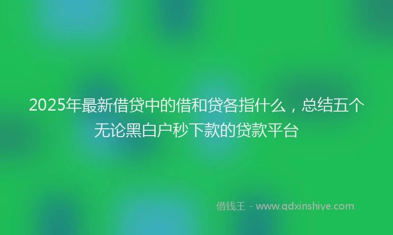2025年最新借贷中的借和贷各指什么，总结五个无论黑白户秒下款的贷款平台