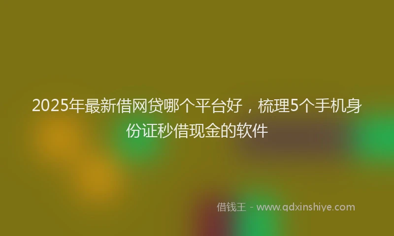 2025年最新借网贷哪个平台好，梳理5个手机身份证秒借现金的软件