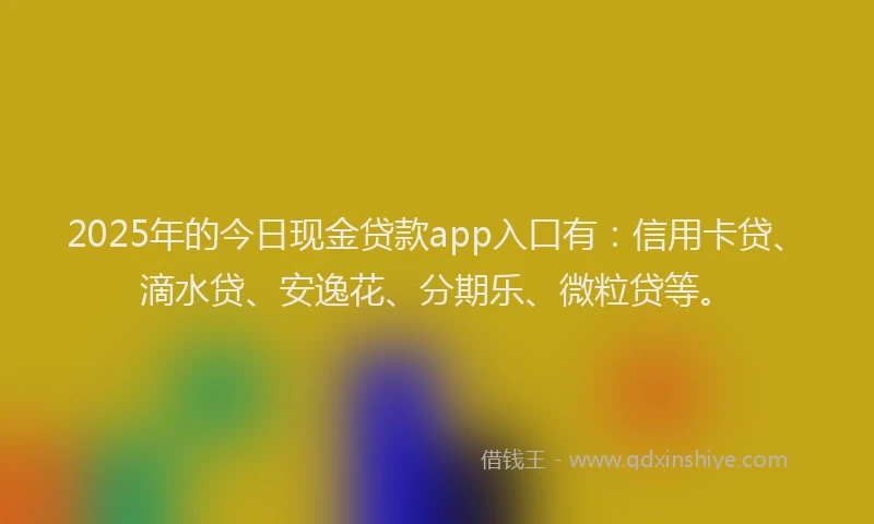 2025年的今日现金贷款app入口有：信用卡贷、滴水贷、安逸花、分期乐、微粒贷等。