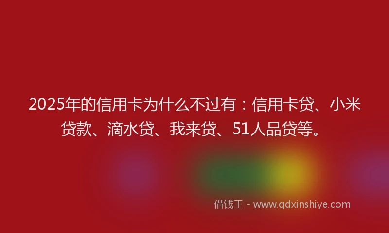2025年的信用卡为什么不过有：信用卡贷、小米贷款、滴水贷、我来贷、51人品贷等。