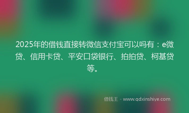 2025年的借钱直接转微信支付宝可以吗有：e微贷、信用卡贷、平安口袋银行、拍拍贷、柯基贷等。