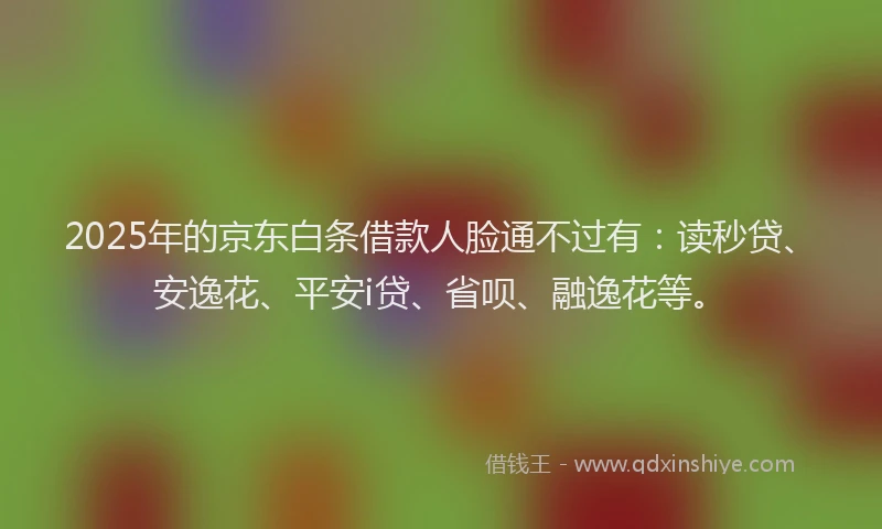 2025年的京东白条借款人脸通不过有：读秒贷、安逸花、平安i贷、省呗、融逸花等。