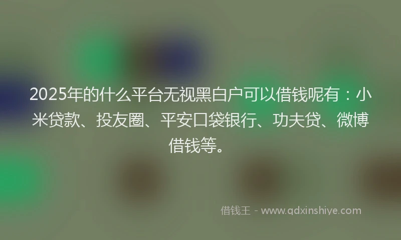 2025年的什么平台无视黑白户可以借钱呢有：小米贷款、投友圈、平安口袋银行、功夫贷、微博借钱等。