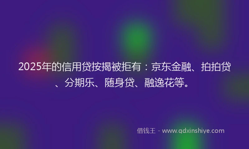2025年的信用贷按揭被拒有：京东金融、拍拍贷、分期乐、随身贷、融逸花等。