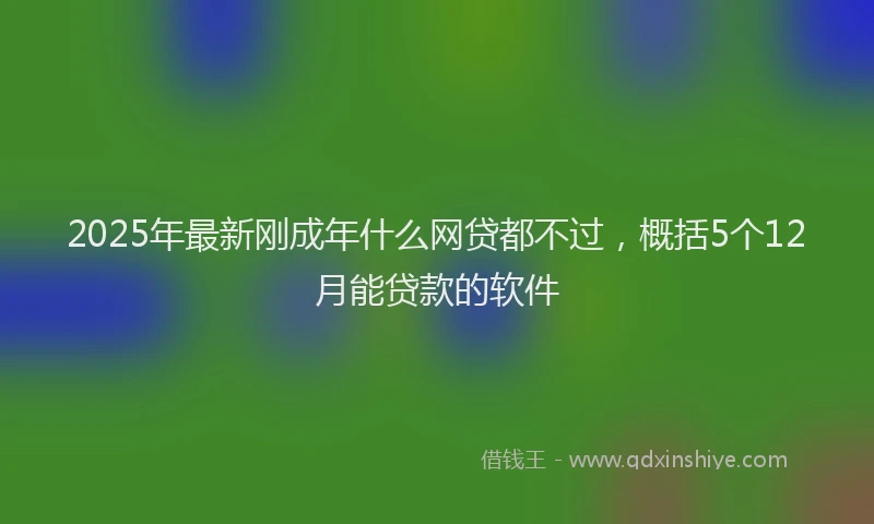 2025年最新刚成年什么网贷都不过，概括5个12月能贷款的软件