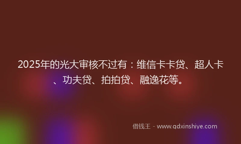 2025年的光大审核不过有：维信卡卡贷、超人卡、功夫贷、拍拍贷、融逸花等。