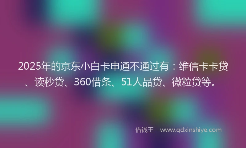 2025年的京东小白卡申通不通过有：维信卡卡贷、读秒贷、360借条、51人品贷、微粒贷等。