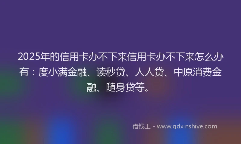 2025年的信用卡办不下来信用卡办不下来怎么办有：度小满金融、读秒贷、人人贷、中原消费金融、随身贷等。