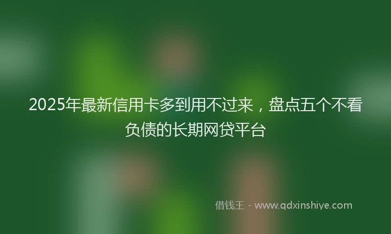 2025年最新信用卡多到用不过来，盘点五个不看负债的长期网贷平台