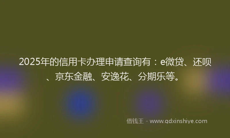 2025年的信用卡办理申请查询有：e微贷、还呗、京东金融、安逸花、分期乐等。