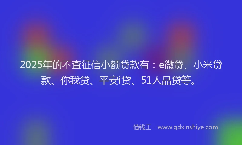 2025年的不查征信小额贷款有：e微贷、小米贷款、你我贷、平安i贷、51人品贷等。