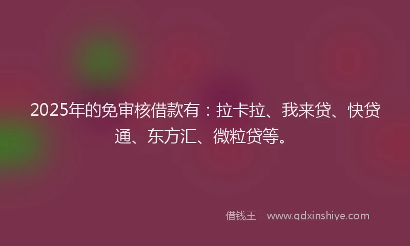 2025年的免审核借款有：拉卡拉、我来贷、快贷通、东方汇、微粒贷等。