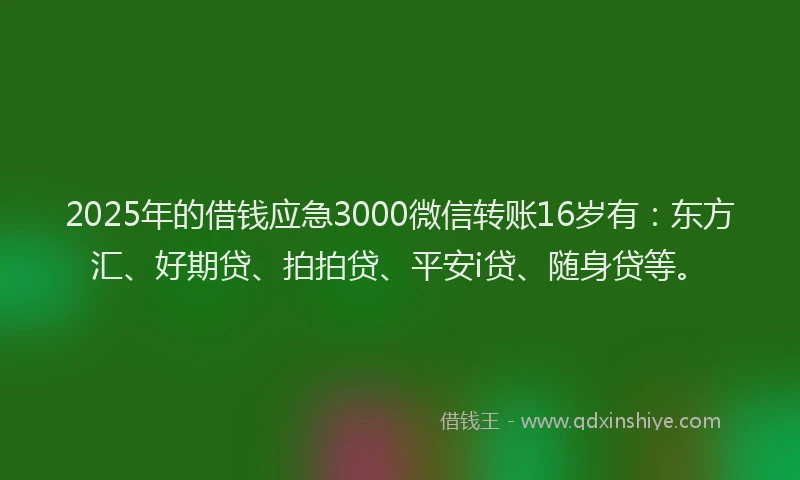 2025年的借钱应急3000微信转账16岁有：东方汇、好期贷、拍拍贷、平安i贷、随身贷等。