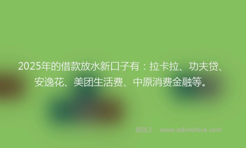 2025年的借款放水新口子有：拉卡拉、功夫贷、安逸花、美团生活费、中原消费金融等。