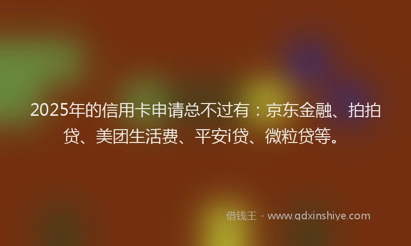 2025年的信用卡申请总不过有：京东金融、拍拍贷、美团生活费、平安i贷、微粒贷等。