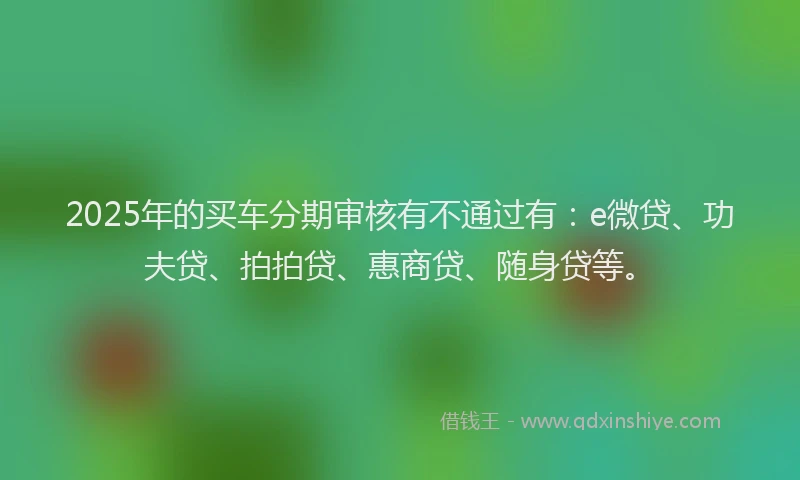 2025年的买车分期审核有不通过有：e微贷、功夫贷、拍拍贷、惠商贷、随身贷等。