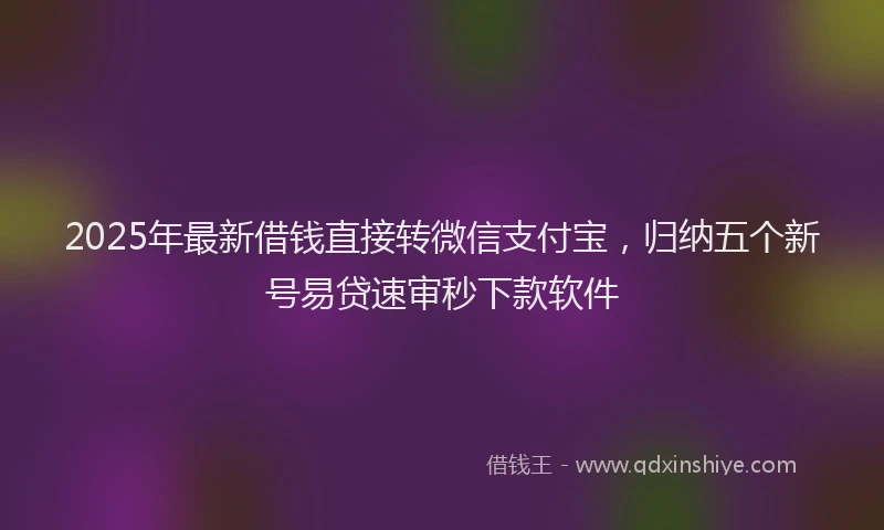 2025年最新借钱直接转微信支付宝，归纳五个新号易贷速审秒下款软件