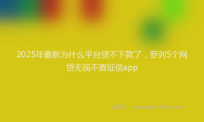 2025年最新为什么平台贷不下款了，罗列5个网贷无视不查征信app