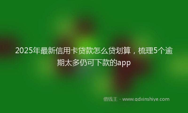 2025年最新信用卡贷款怎么贷划算，梳理5个逾期太多仍可下款的app