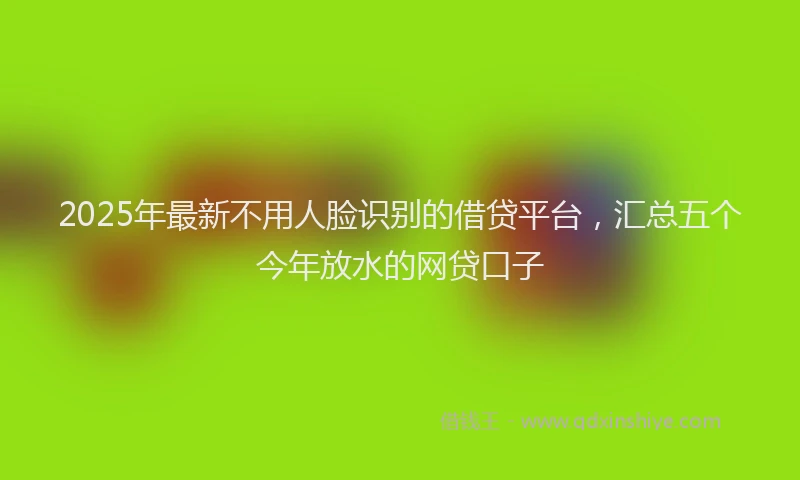 2025年最新不用人脸识别的借贷平台，汇总五个今年放水的网贷口子