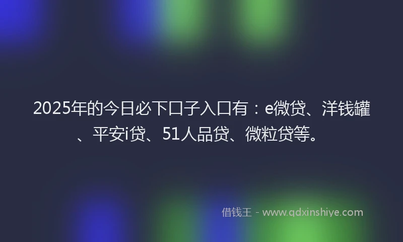 2025年的今日必下口子入口有：e微贷、洋钱罐、平安i贷、51人品贷、微粒贷等。