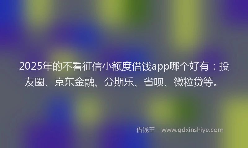2025年的不看征信小额度借钱app哪个好有：投友圈、京东金融、分期乐、省呗、微粒贷等。