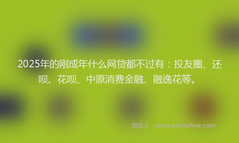 2025年的刚成年什么网贷都不过有：投友圈、还呗、花呗、中原消费金融、融逸花等。