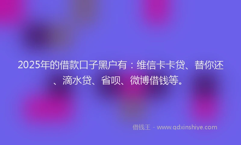2025年的借款口子黑户有：维信卡卡贷、替你还、滴水贷、省呗、微博借钱等。