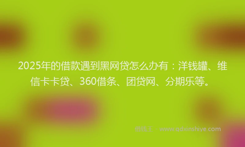 2025年的借款遇到黑网贷怎么办有：洋钱罐、维信卡卡贷、360借条、团贷网、分期乐等。