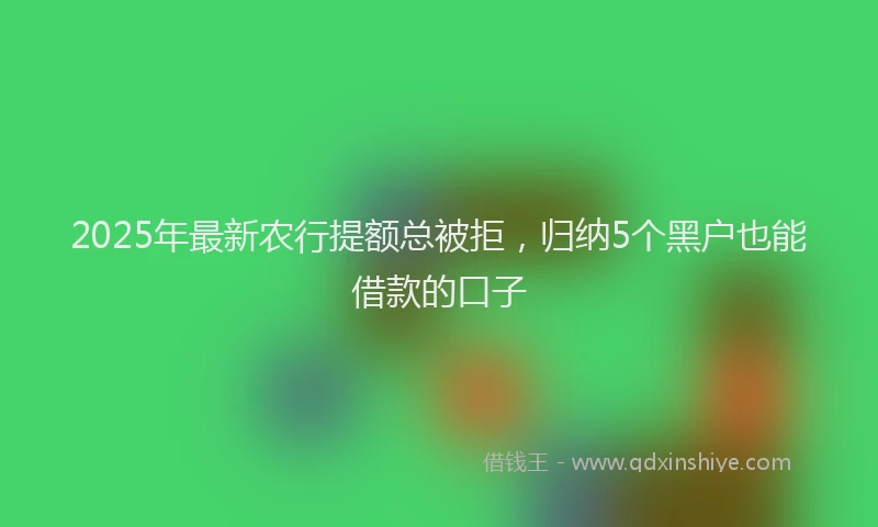 2025年最新农行提额总被拒，归纳5个黑户也能借款的口子