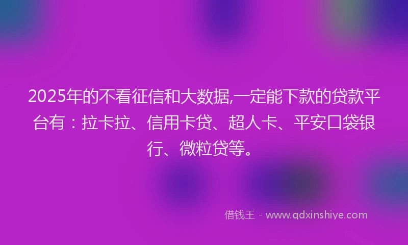 2025年的不看征信和大数据,一定能下款的贷款平台有：拉卡拉、信用卡贷、超人卡、平安口袋银行、微粒贷等。