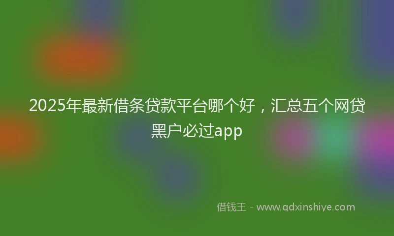 2025年最新借条贷款平台哪个好，汇总五个网贷黑户必过app