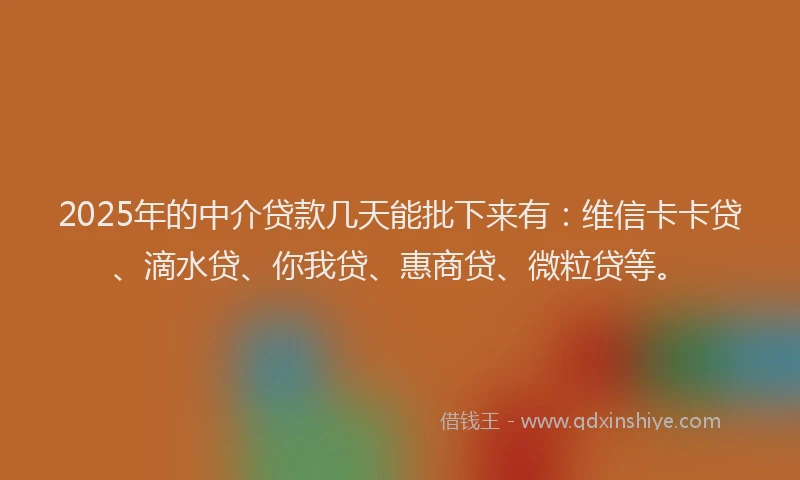 2025年的中介贷款几天能批下来有：维信卡卡贷、滴水贷、你我贷、惠商贷、微粒贷等。