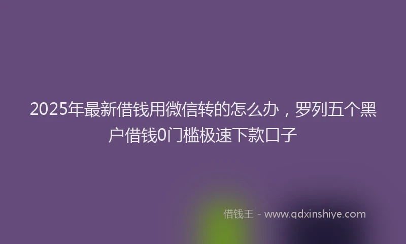 2025年最新借钱用微信转的怎么办，罗列五个黑户借钱0门槛极速下款口子