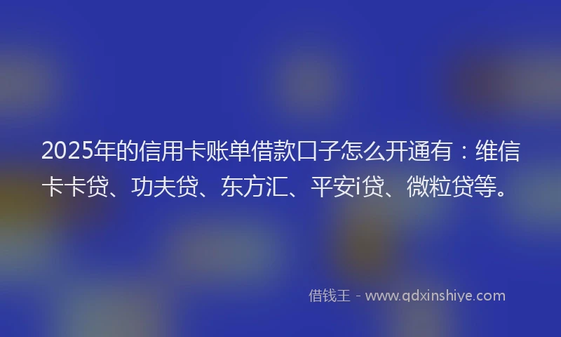 2025年的信用卡账单借款口子怎么开通有：维信卡卡贷、功夫贷、东方汇、平安i贷、微粒贷等。