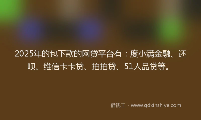 2025年的包下款的网贷平台有：度小满金融、还呗、维信卡卡贷、拍拍贷、51人品贷等。