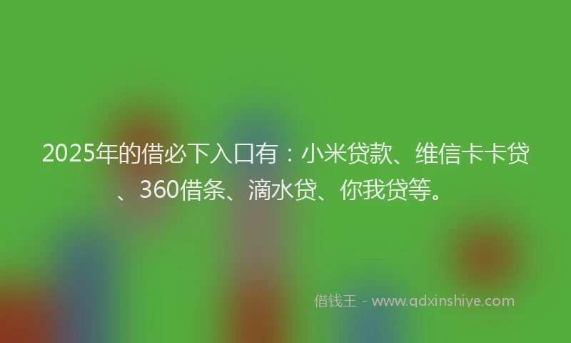 2025年的借必下入口有：小米贷款、维信卡卡贷、360借条、滴水贷、你我贷等。