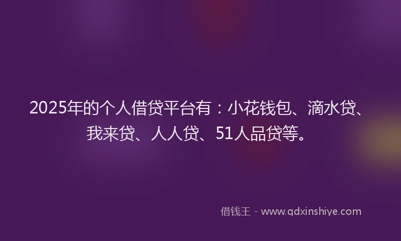2025年的个人借贷平台有：小花钱包、滴水贷、我来贷、人人贷、51人品贷等。