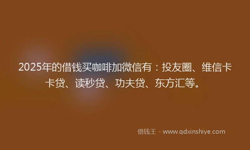 2025年的借钱买咖啡加微信有：投友圈、维信卡卡贷、读秒贷、功夫贷、东方汇等。