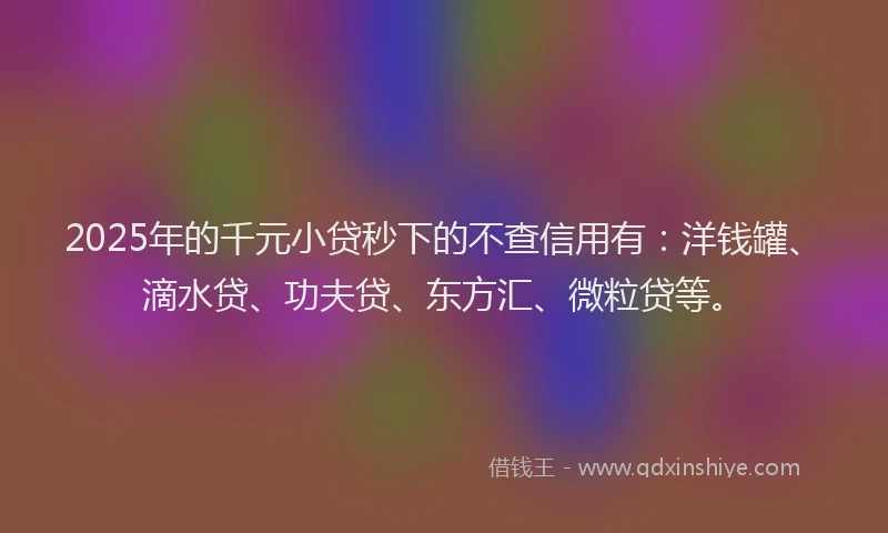 2025年的千元小贷秒下的不查信用有：洋钱罐、滴水贷、功夫贷、东方汇、微粒贷等。