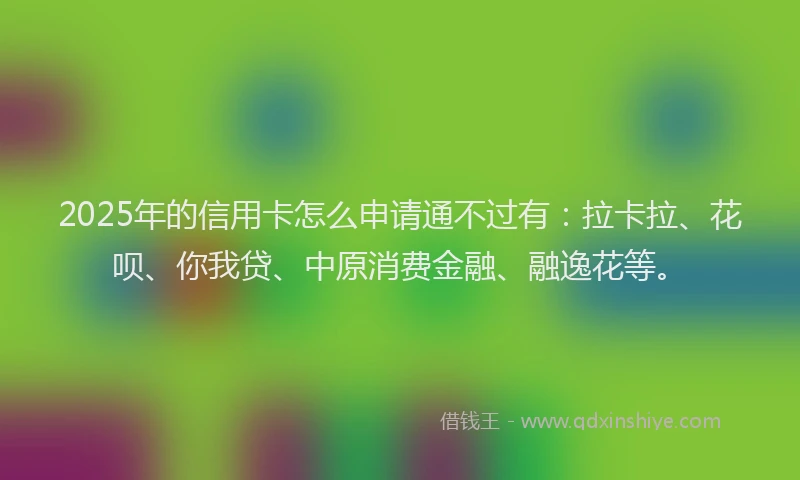 2025年的信用卡怎么申请通不过有：拉卡拉、花呗、你我贷、中原消费金融、融逸花等。