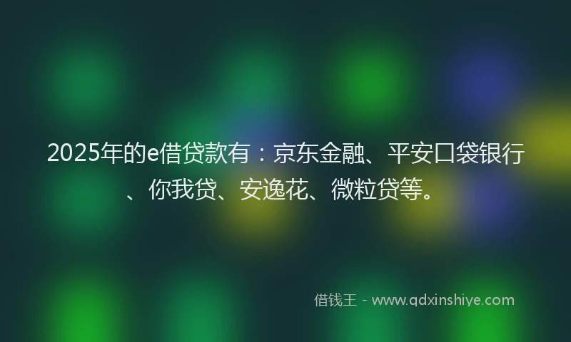 2025年的e借贷款有：京东金融、平安口袋银行、你我贷、安逸花、微粒贷等。