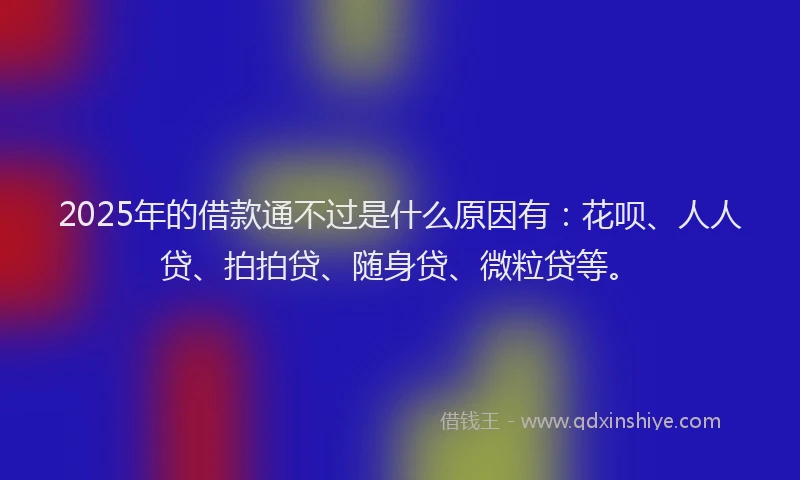 2025年的借款通不过是什么原因有：花呗、人人贷、拍拍贷、随身贷、微粒贷等。