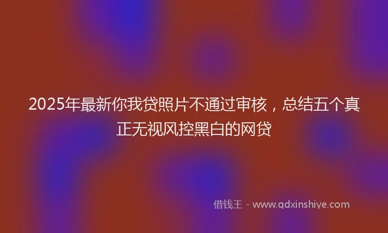 2025年最新你我贷照片不通过审核，总结五个真正无视风控黑白的网贷